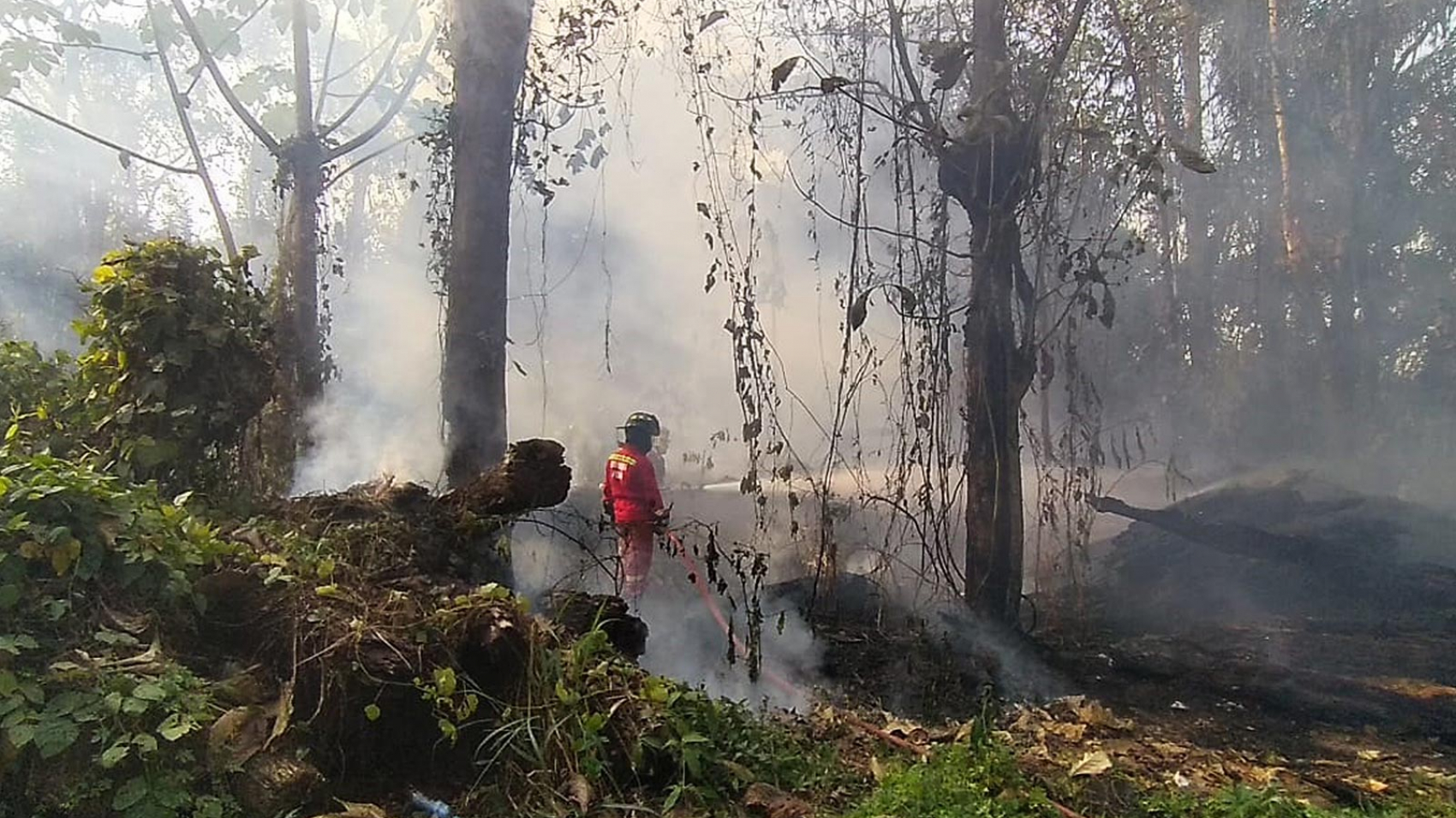 irresponsables-siguen-atentando-contra-nuestra-amazonia